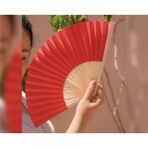 ABANICO LOCOMIA personalizada