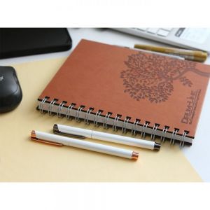 BOLÍGRAFO RAMSAU. personalizada