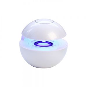 BOCINA RECARGABLE CON CONTROL DE LUZ LED personalizada