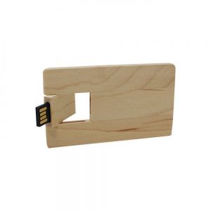 USB TARJETA ECOLÓGICA personalizada